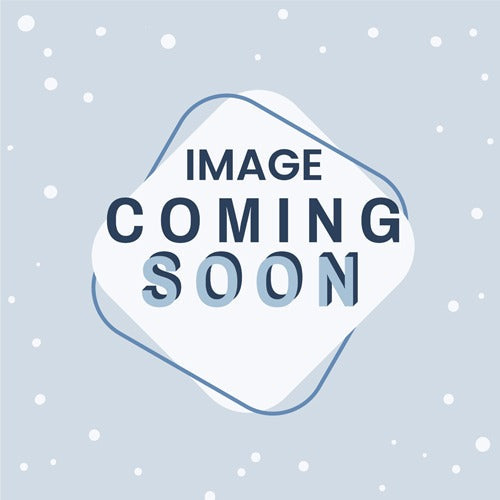 CLASSIC USB 5W XSSIVE SOCKET