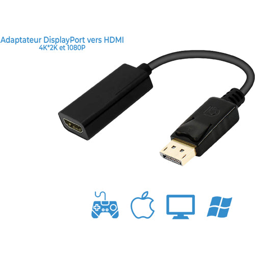 ADAPTATEUR DISPLAY PORT VERS HDMI SMART 2 LINK